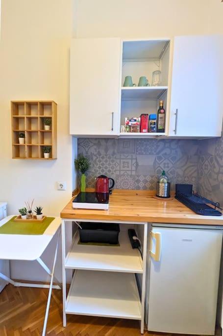 Cozy Ensuite Room In Zagreb Center Buitenkant foto