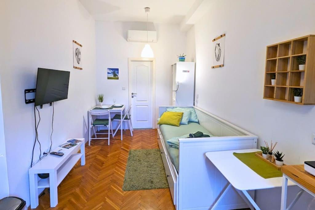 Cozy Ensuite Room In Zagreb Center Buitenkant foto